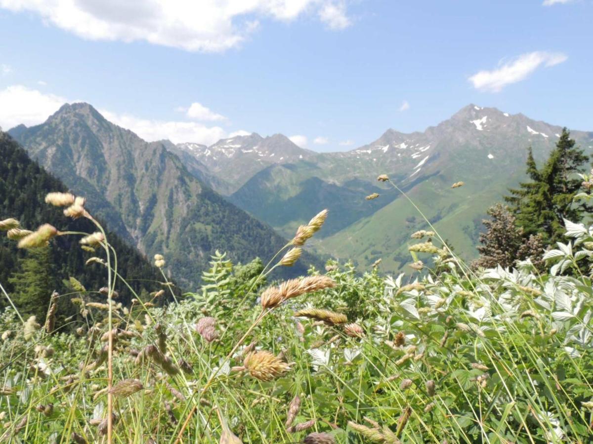 Studio Pour 4 Personnes Au Centre De Cauterets, Proche Telecabines Et Thermes - Fr-1-234-269 Екстериор снимка